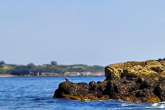 Tour image 14